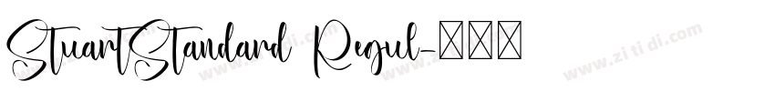 StuartStandard Regul字体转换